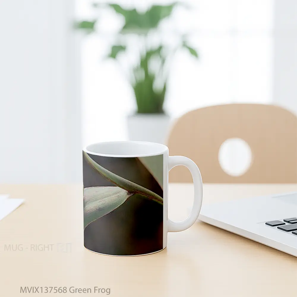 Mug Green Frog Gelas Keramik Unik - All-side / Desain