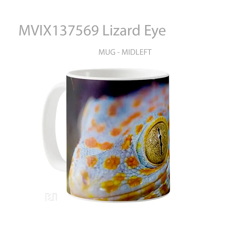 Mug Lizard Eye Gelas Keramik Unik - All-side / Desain