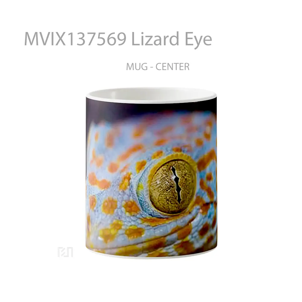 Mug Lizard Eye Gelas Keramik Unik