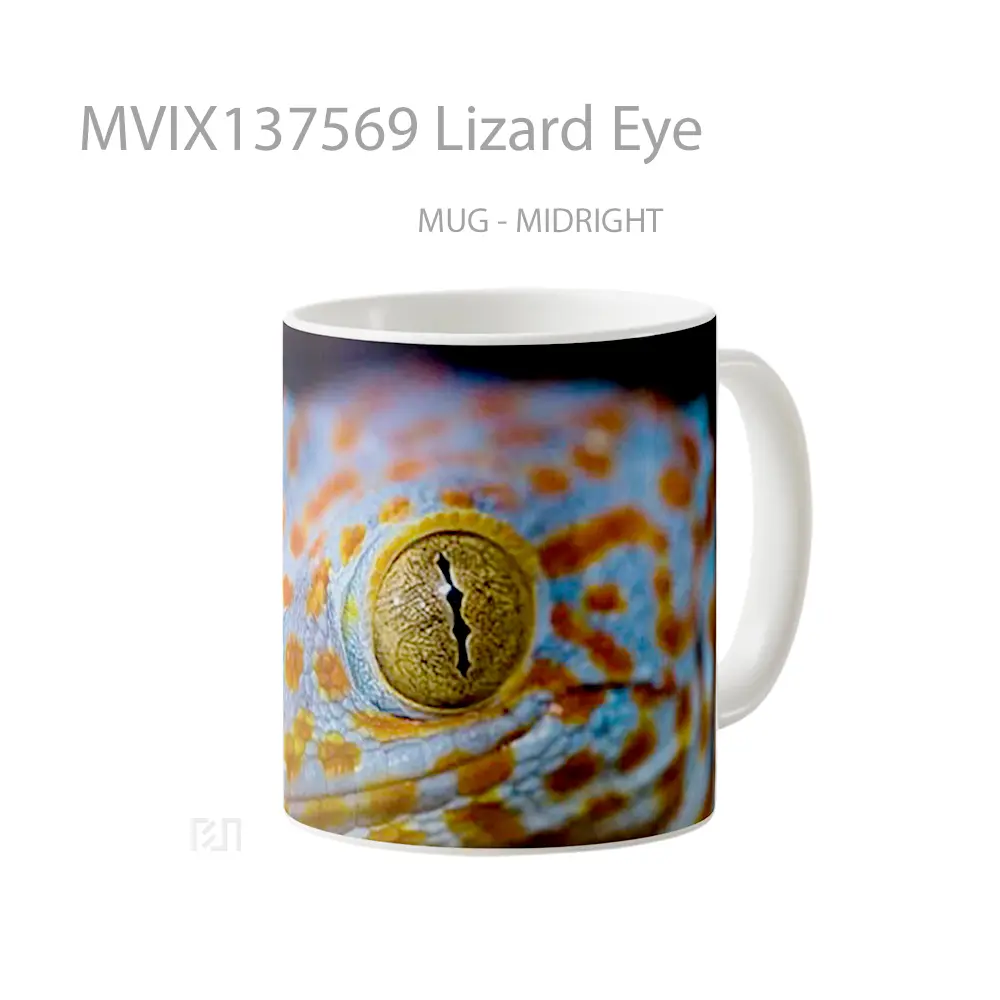 Mug Lizard Eye Gelas Keramik Unik - All-side / Desain