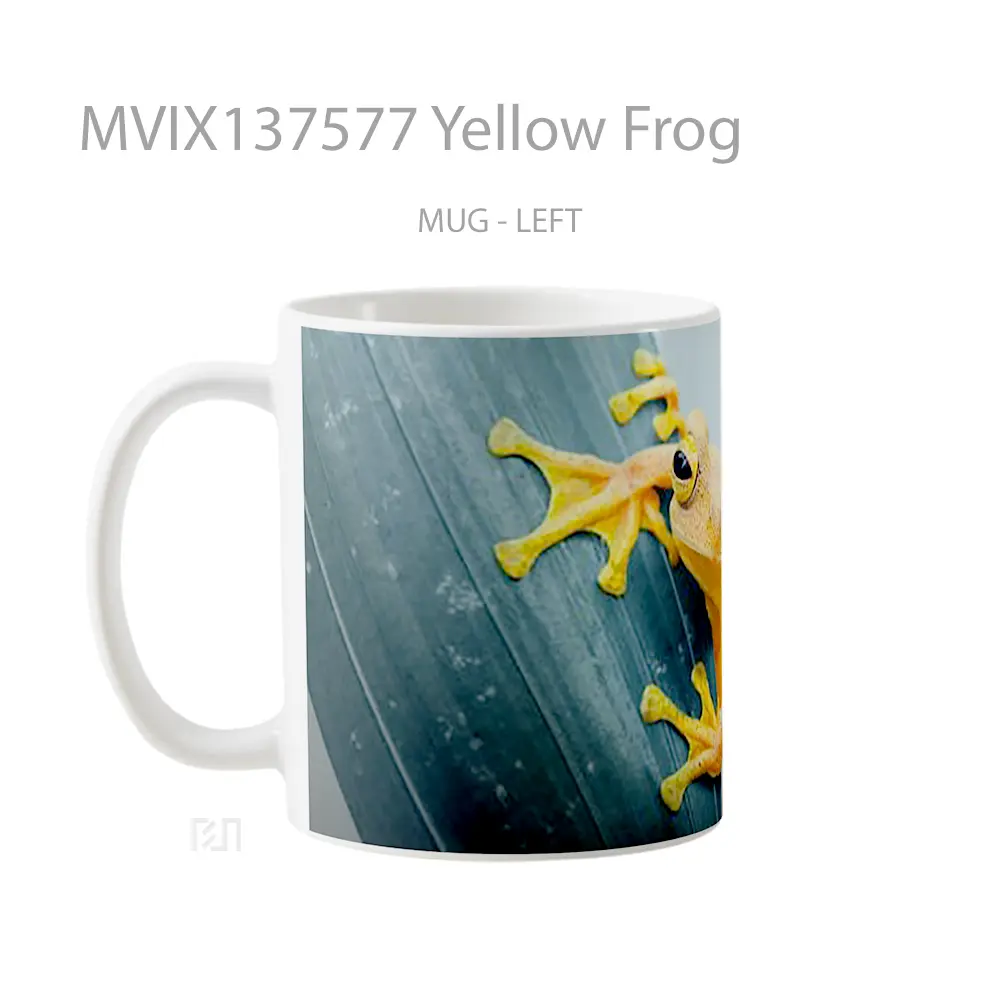 Mug Yellow Frog Gelas Keramik Unik - All-side / Desain