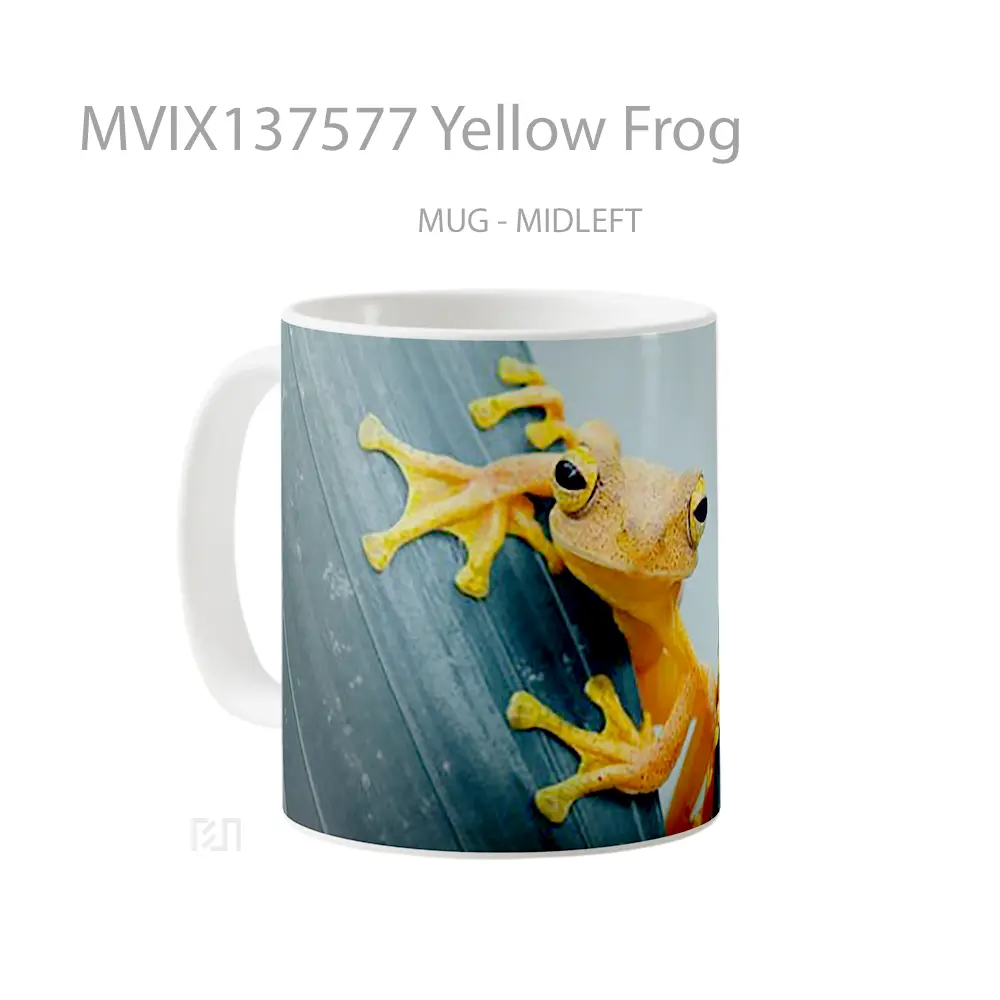 Mug Yellow Frog Gelas Keramik Unik - All-side / Desain