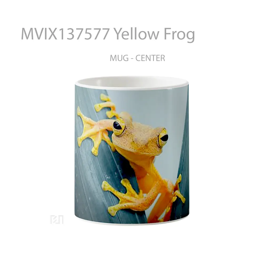 Mug Yellow Frog Gelas Keramik Unik