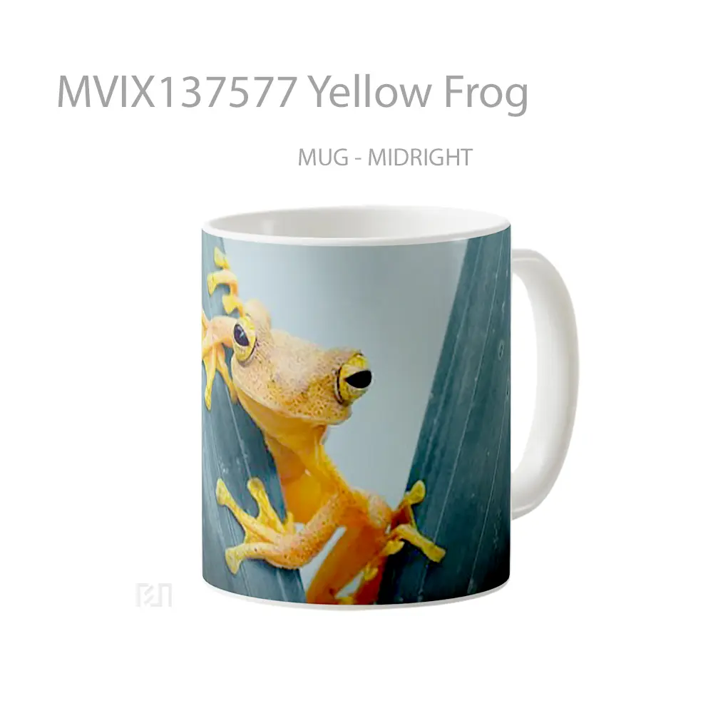 Mug Yellow Frog Gelas Keramik Unik - All-side / Desain