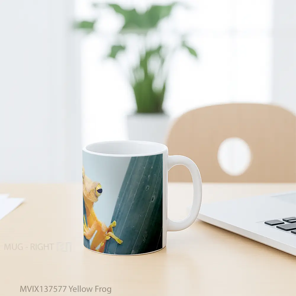Mug Yellow Frog Gelas Keramik Unik - All-side / Desain