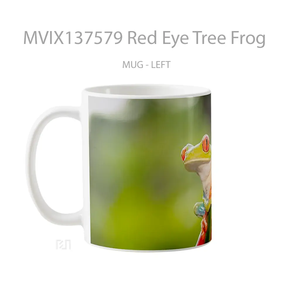 Mug Red Eye Tree Frog Gelas Pemandangan Alam - All-side / Desain