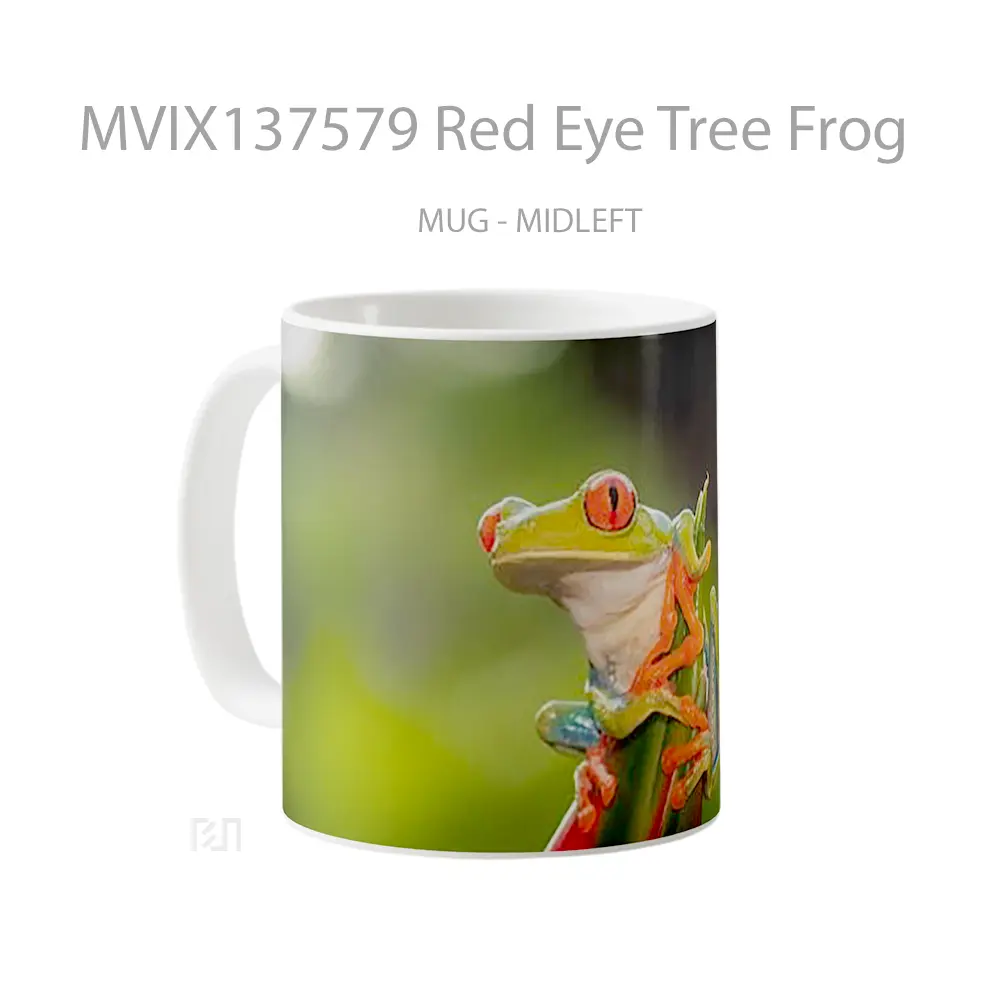 Mug Red Eye Tree Frog Gelas Pemandangan Alam - All-side / Desain