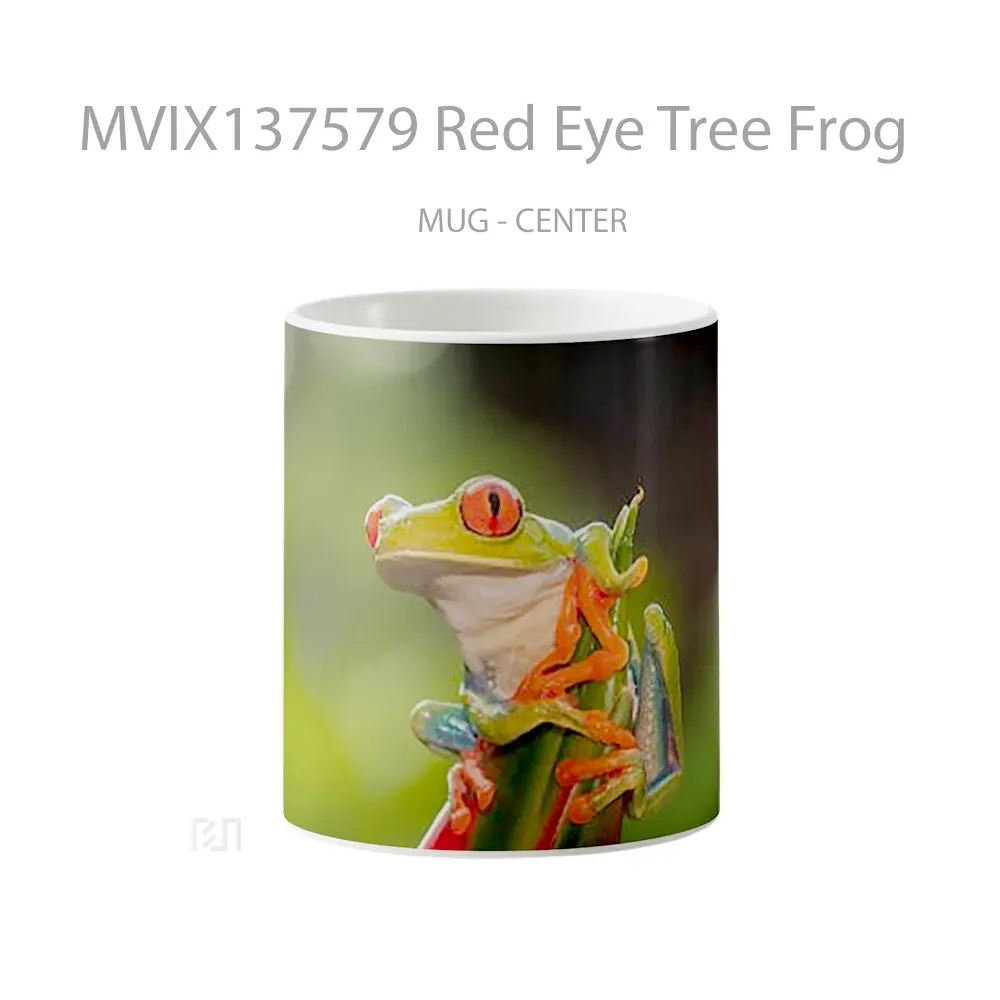 Mug Red Eye Tree Frog Gelas Pemandangan Alam