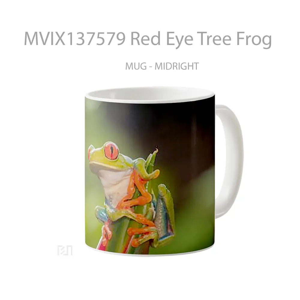 Mug Red Eye Tree Frog Gelas Pemandangan Alam - All-side / Desain