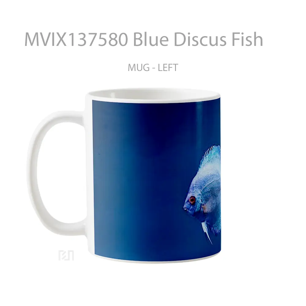Mug Blue Discus Fish Gelas Hewan Lucu - All-side / Desain