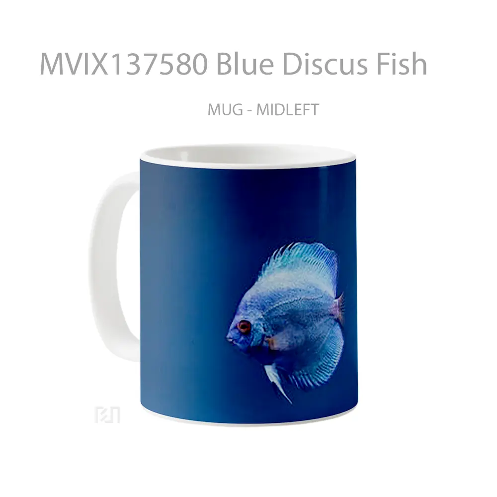 Mug Blue Discus Fish Gelas Hewan Lucu - All-side / Desain
