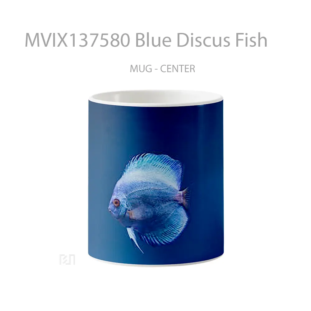 Mug Blue Discus Fish Gelas Hewan Lucu