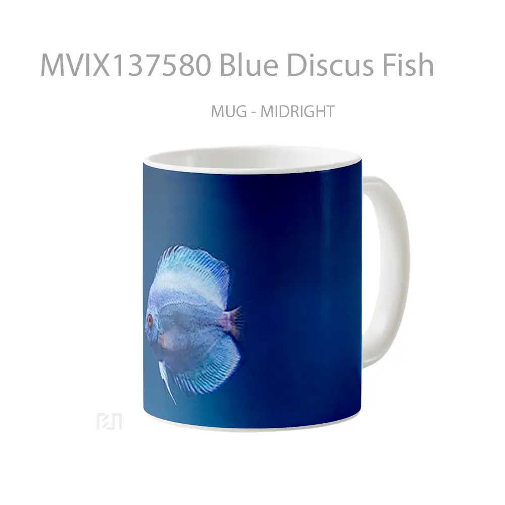 Mug Blue Discus Fish Gelas Hewan Lucu - All-side / Desain