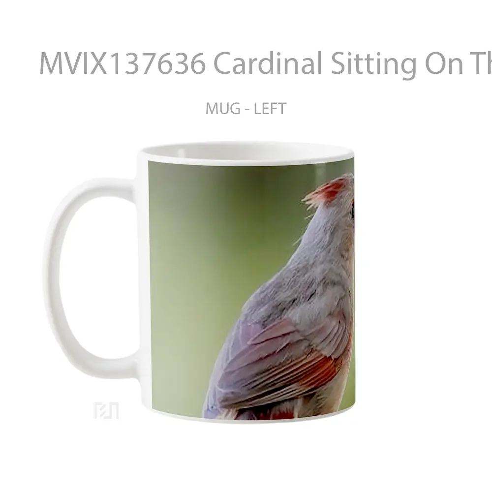 Mug Cardinal Sitting On The Fence Gelas Keramik Unik - All-side / Desain