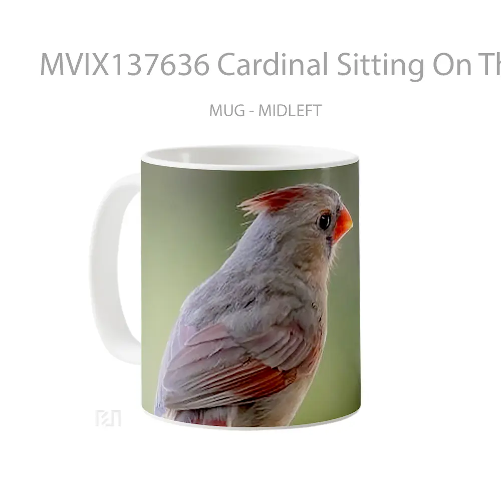 Mug Cardinal Sitting On The Fence Gelas Keramik Unik - All-side / Desain