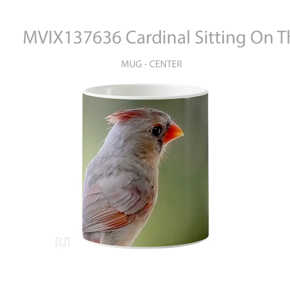 Mug Cardinal Sitting On The Fence Gelas Keramik Unik