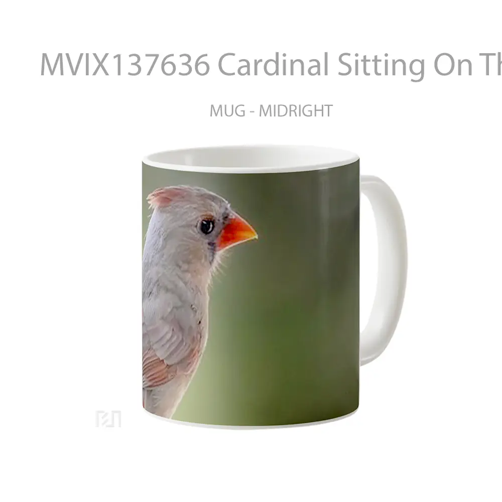 Mug Cardinal Sitting On The Fence Gelas Keramik Unik - All-side / Desain