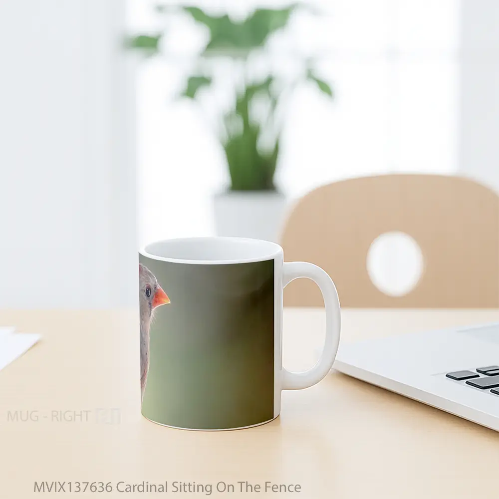 Mug Cardinal Sitting On The Fence Gelas Keramik Unik - All-side / Desain