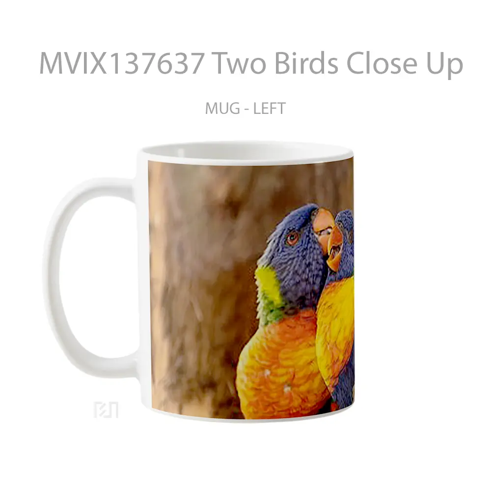 Mug Two Birds Close Up Gelas Hewan Lucu - All-side / Desain