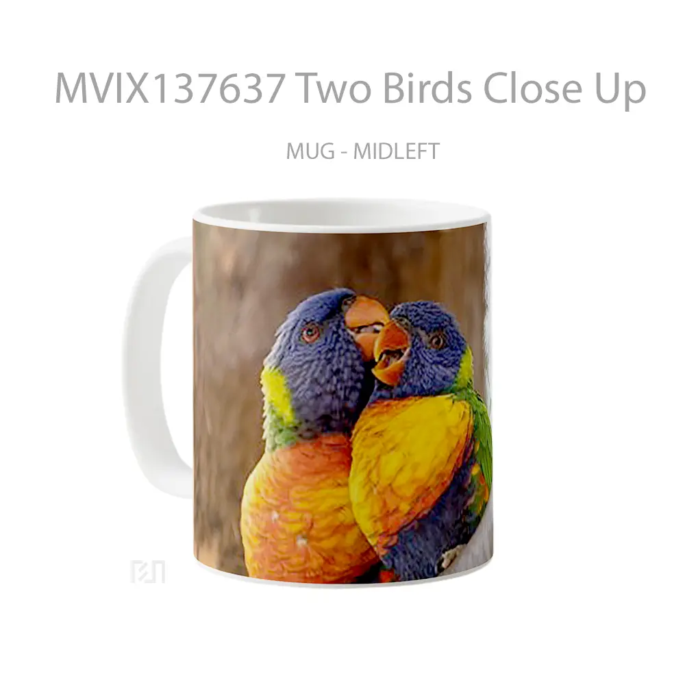 Mug Two Birds Close Up Gelas Hewan Lucu - All-side / Desain