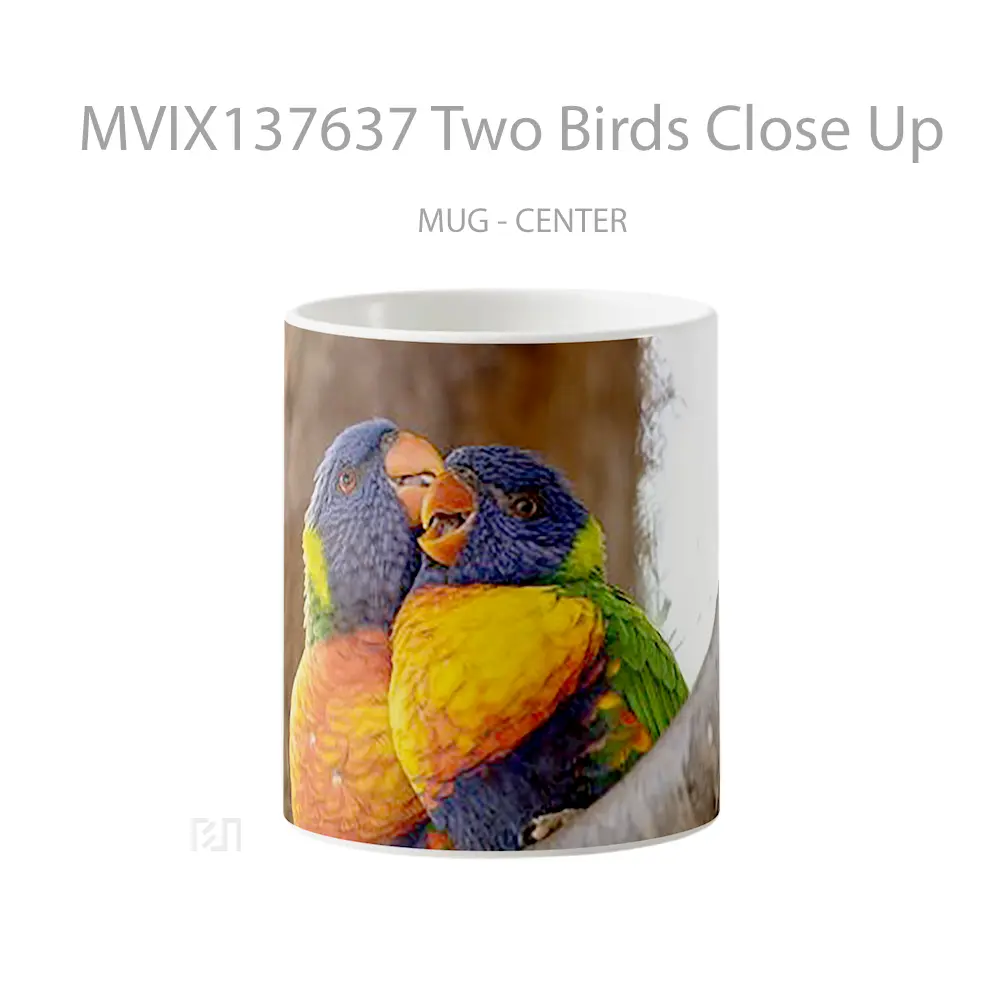 Mug Two Birds Close Up Gelas Hewan Lucu