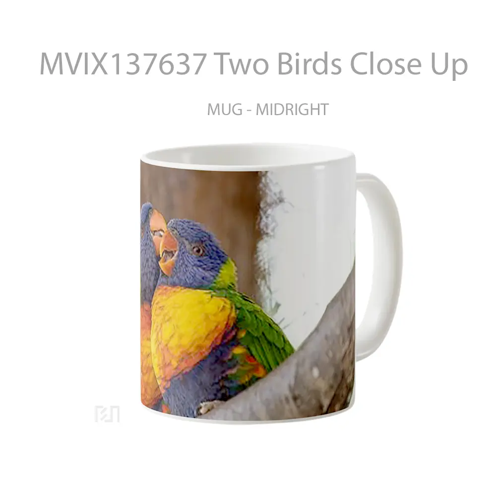 Mug Two Birds Close Up Gelas Hewan Lucu - All-side / Desain