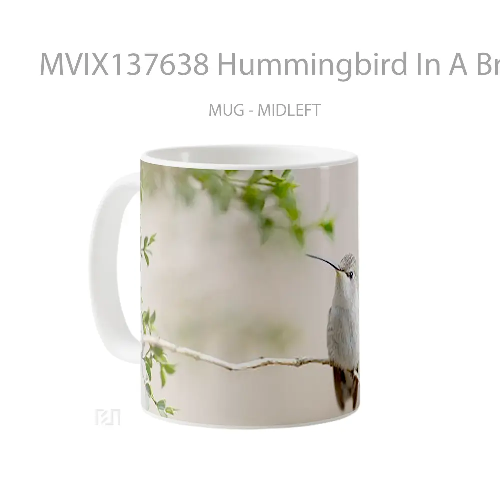 Mug Hummingbird In A Branch Gelas Keramik Unik - All-side / Desain