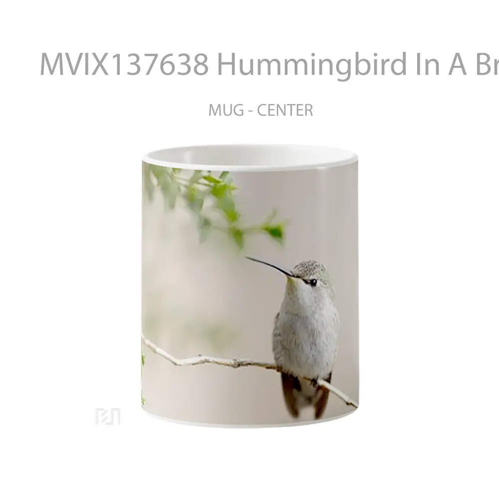 Mug Hummingbird In A Branch Gelas Keramik Unik
