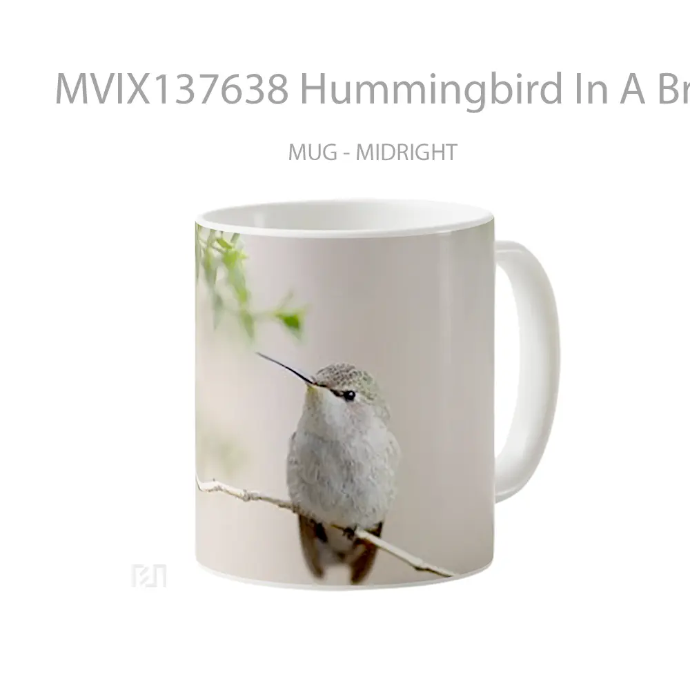 Mug Hummingbird In A Branch Gelas Keramik Unik - All-side / Desain
