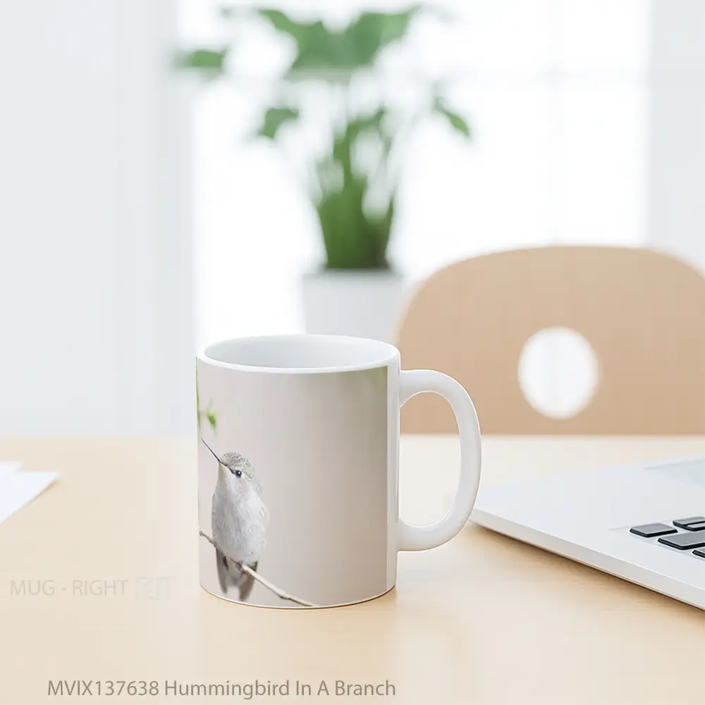 Mug Hummingbird In A Branch Gelas Keramik Unik - All-side / Desain