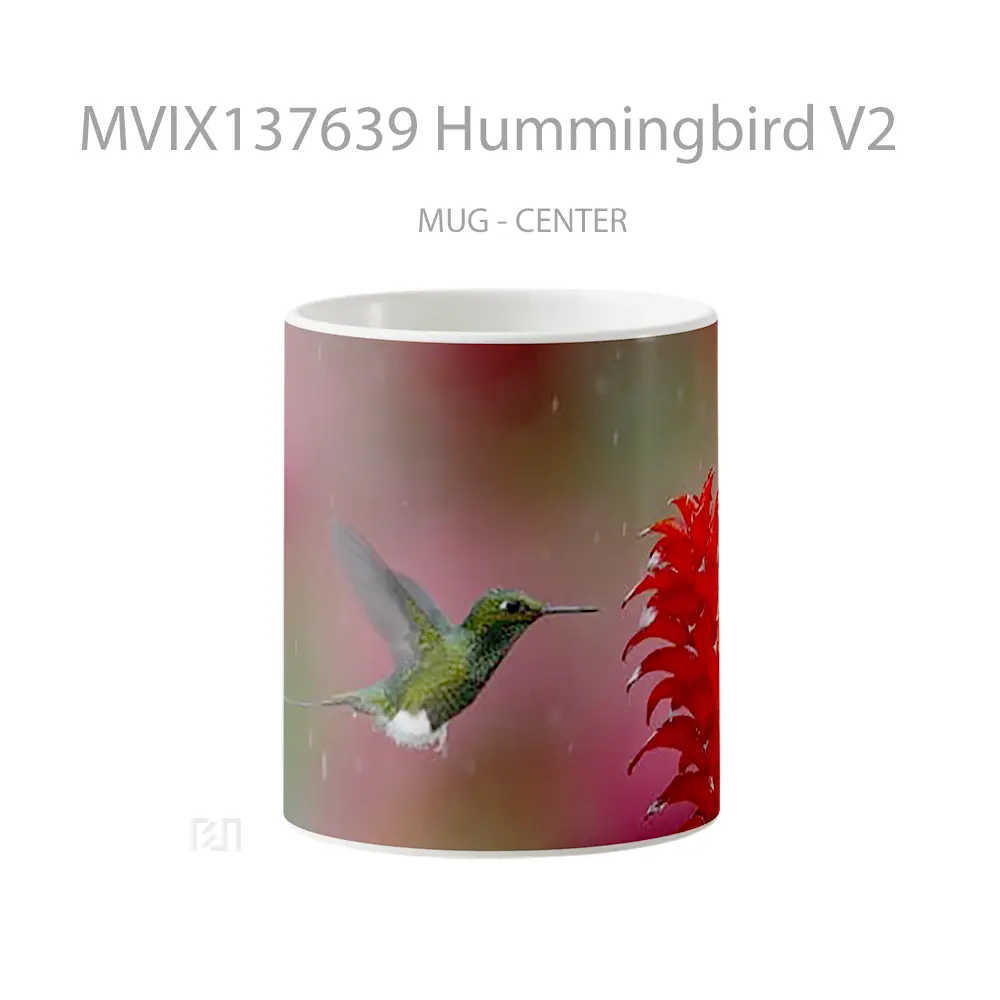 Mug Hummingbird V2 Gelas Keramik Unik