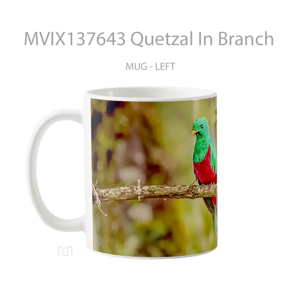 Mug Quetzal In Branch Gelas Keramik Unik - All-side / Desain