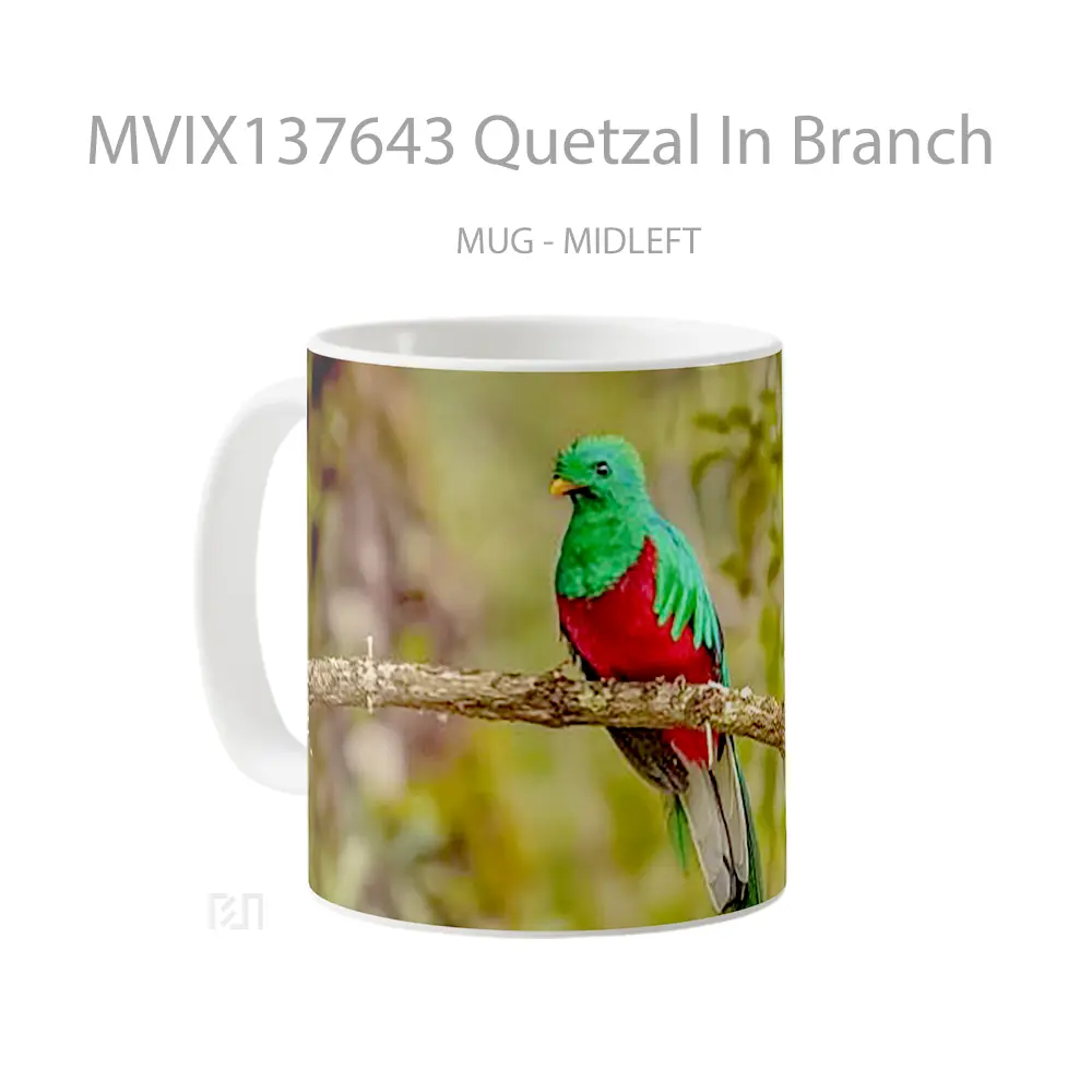 Mug Quetzal In Branch Gelas Keramik Unik - All-side / Desain