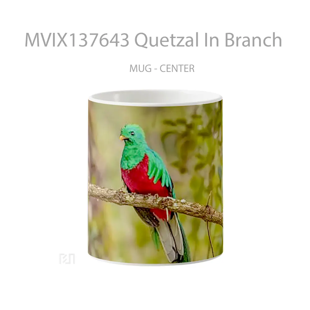 Mug Quetzal In Branch Gelas Keramik Unik
