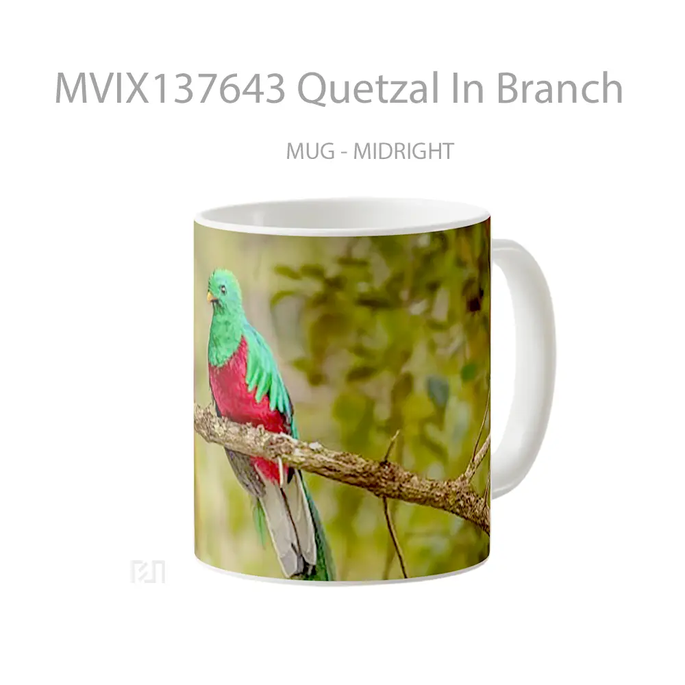 Mug Quetzal In Branch Gelas Keramik Unik - All-side / Desain