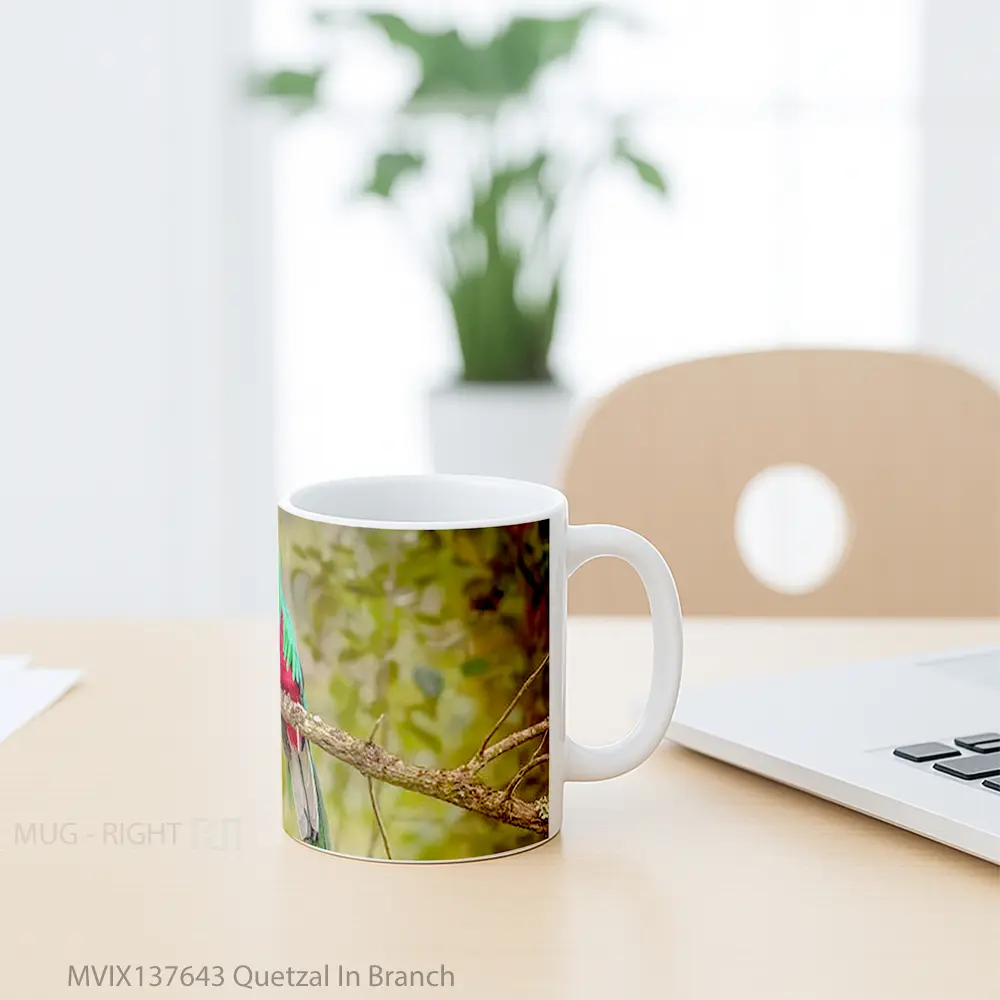 Mug Quetzal In Branch Gelas Keramik Unik - All-side / Desain