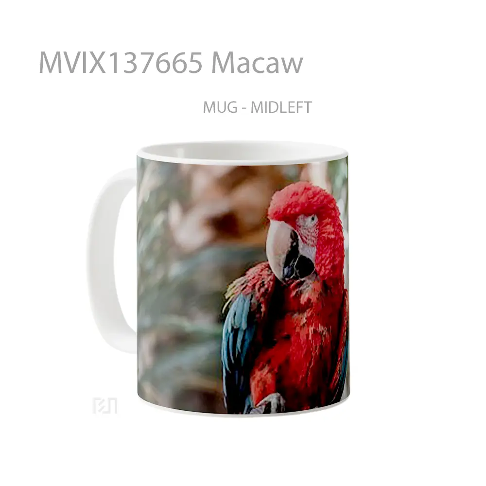 Mug Macaw Gelas Keramik Unik - All-side / Desain