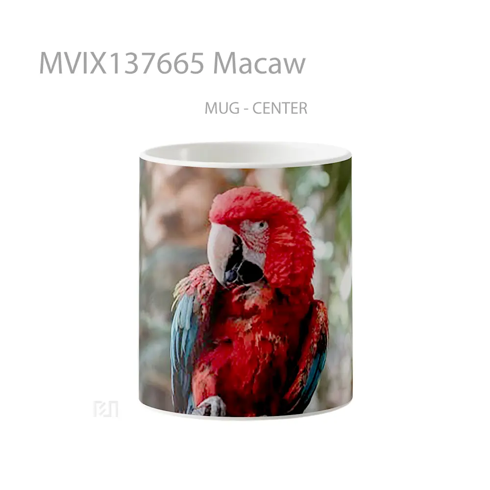 Mug Macaw Gelas Keramik Unik