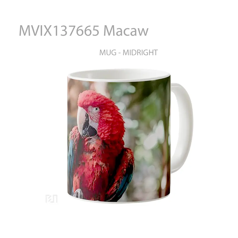 Mug Macaw Gelas Keramik Unik - All-side / Desain