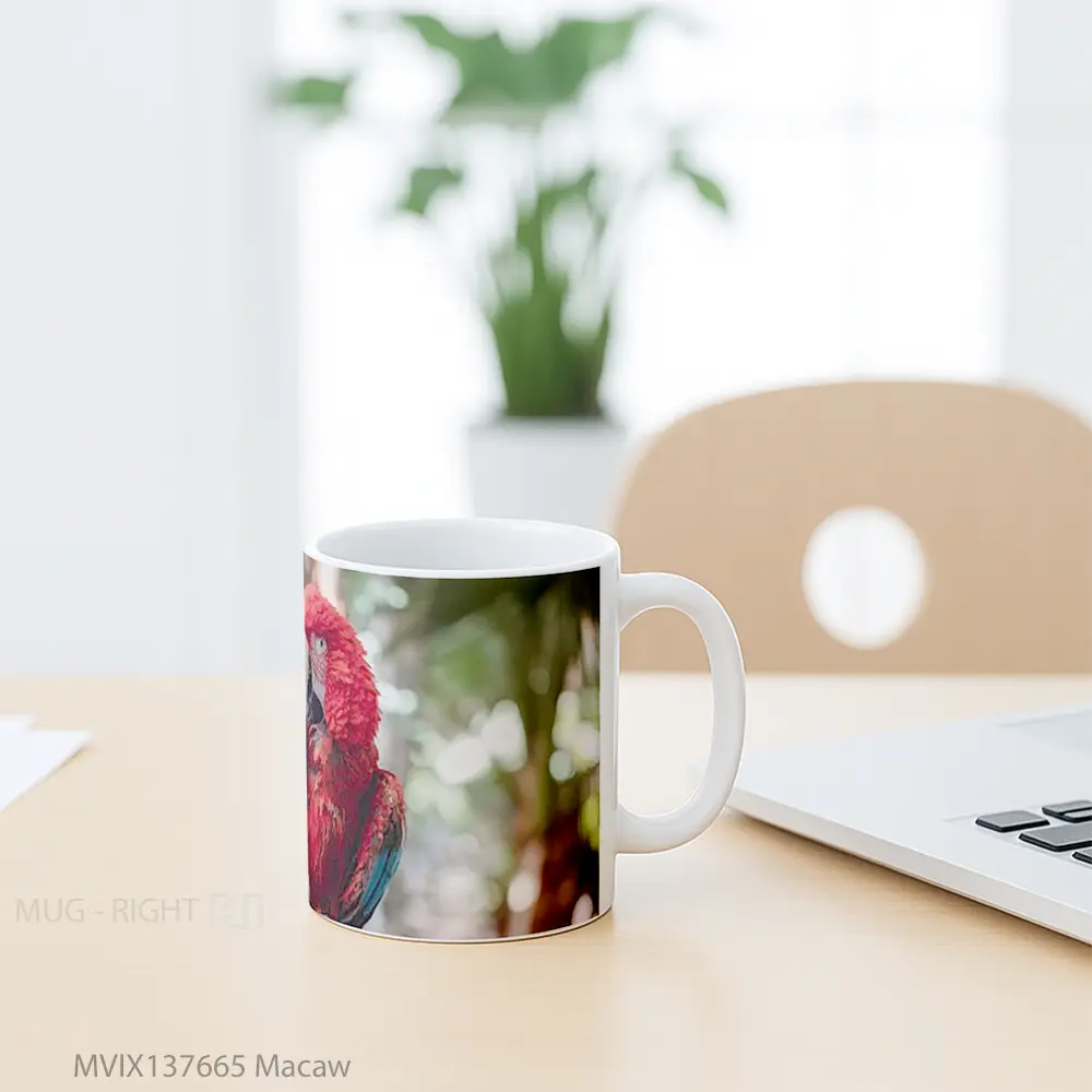 Mug Macaw Gelas Keramik Unik - All-side / Desain