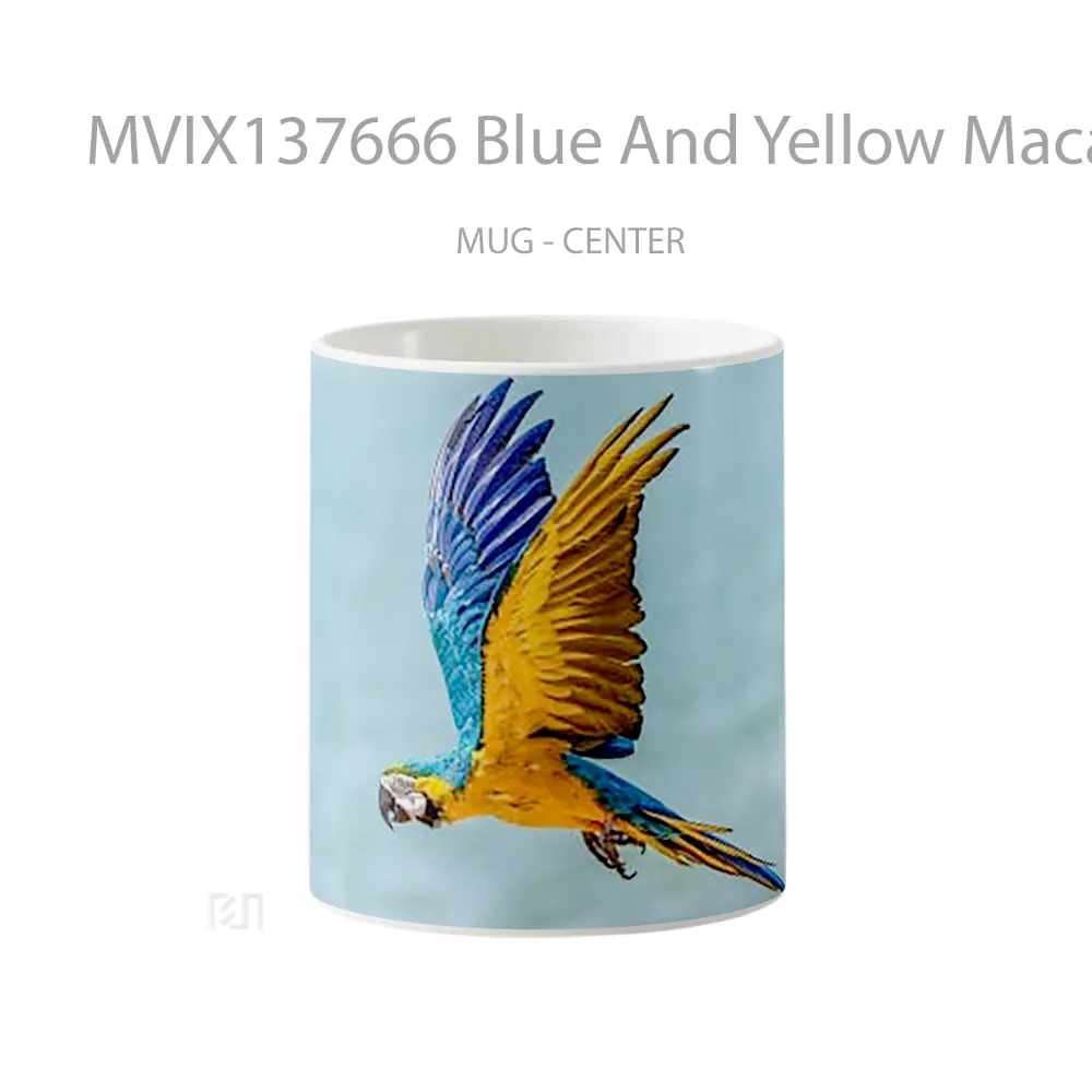 Mug Blue And Yellow Macaw Gelas Keramik Unik