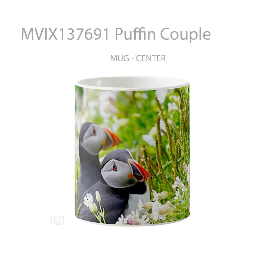 Mug Puffin Couple Gelas Keramik Unik
