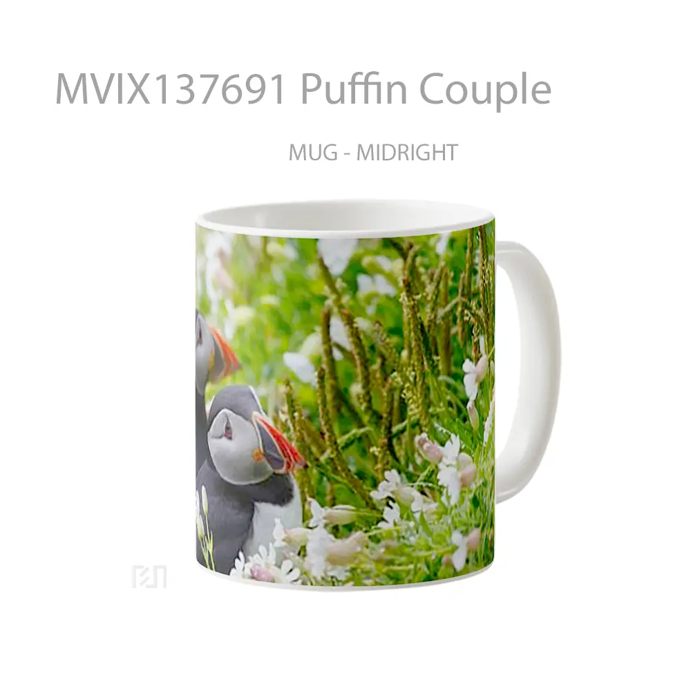 Mug Puffin Couple Gelas Keramik Unik - All-side / Desain