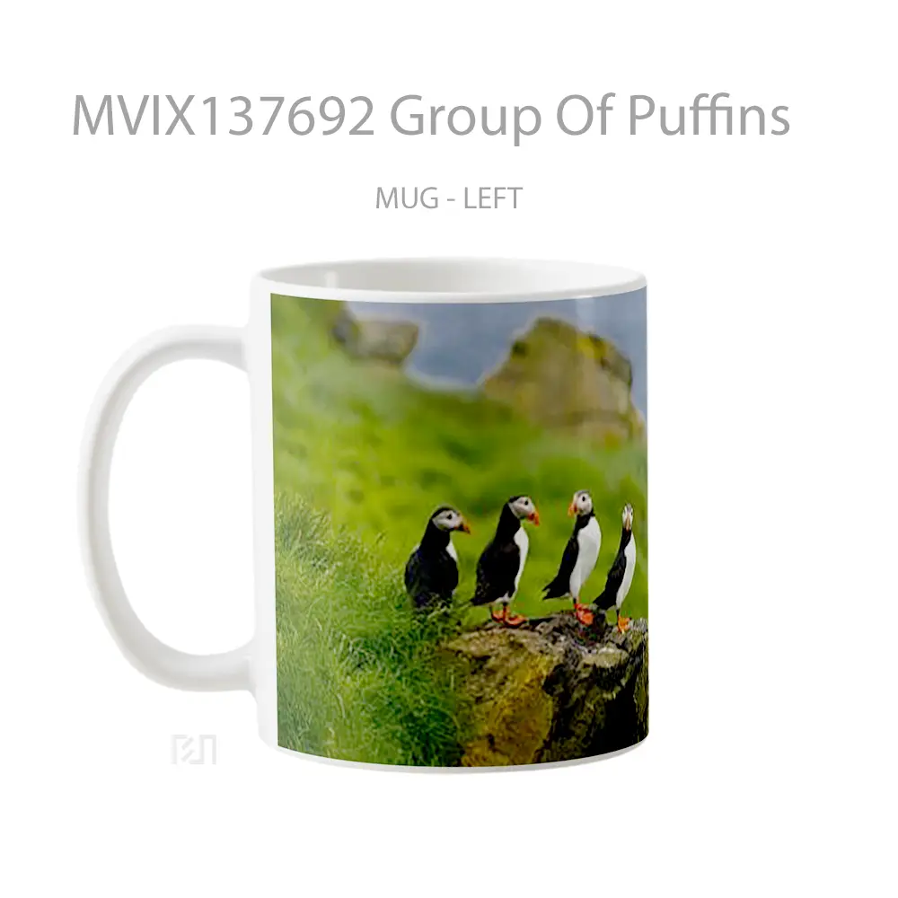 Mug Group Of Puffins Gelas Keramik Unik - All-side / Desain