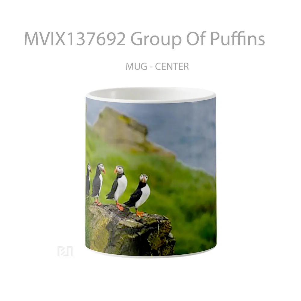 Mug Group Of Puffins Gelas Keramik Unik