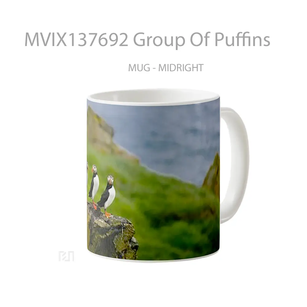 Mug Group Of Puffins Gelas Keramik Unik - All-side / Desain