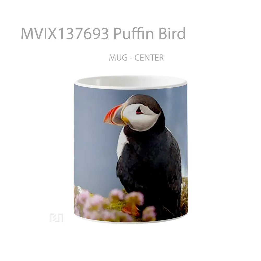 Mug Puffin Bird Gelas Hewan Lucu