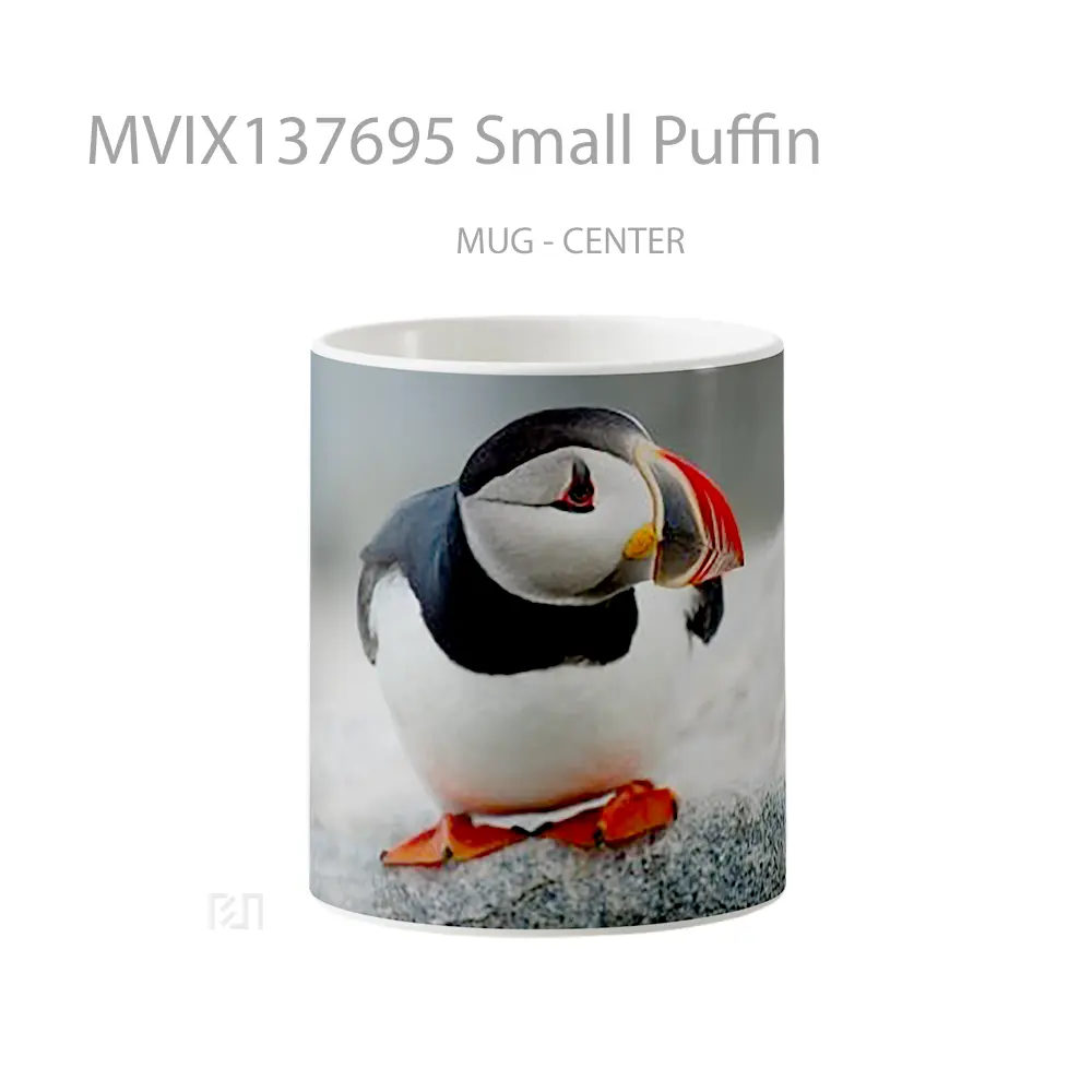 Mug Small Puffin Gelas Keramik Unik