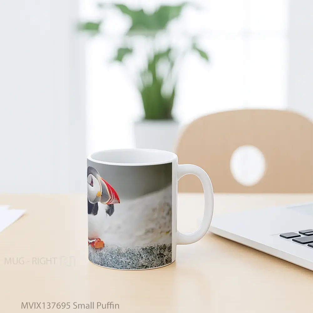 Mug Small Puffin Gelas Keramik Unik - All-side / Desain