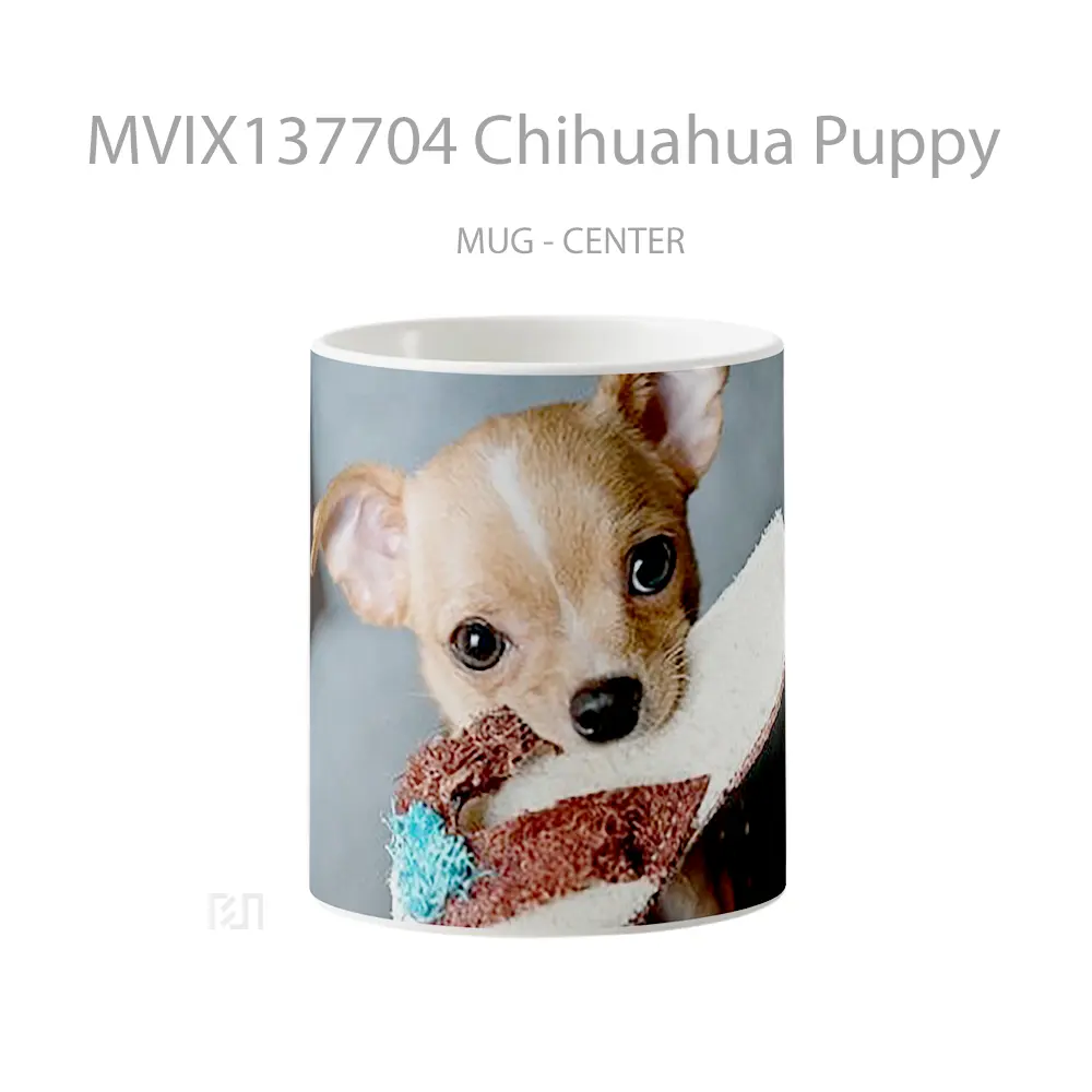 Mug Chihuahua Puppy Gelas Hewan Lucu